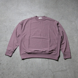 alvana (アルヴァナ) AFW-25037 [ 空紡 BD SWEAT TEE SHIRTS ] 空乏天竺 スウェット L/S T シャツ 